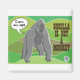 Íman Gorilla não é um macaco