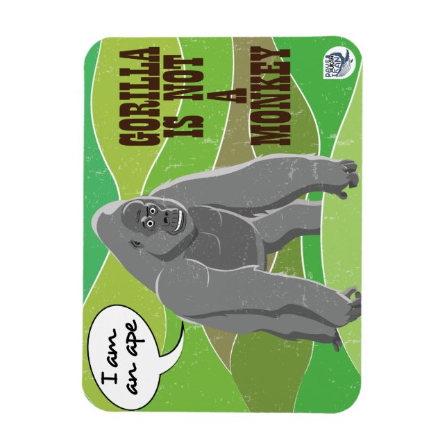 Íman Gorilla não é um macaco (Vertical)