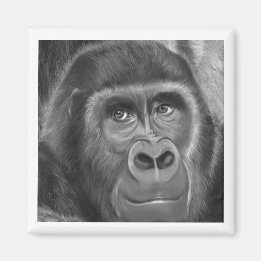 Íman Gorilla sucking fingers Magnet2指しゃぶりのゴリラマグネット