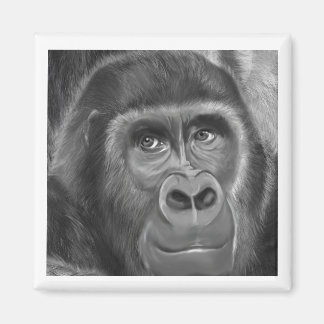 Íman Gorilla sucking fingers Magnet2指しゃぶりのゴリラマグネット