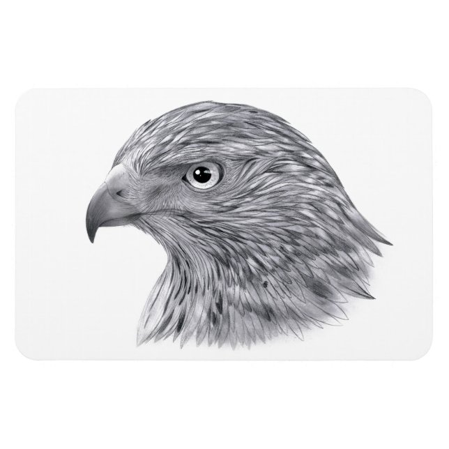 Íman Goshawk - Magnet flexível (Horizontal)