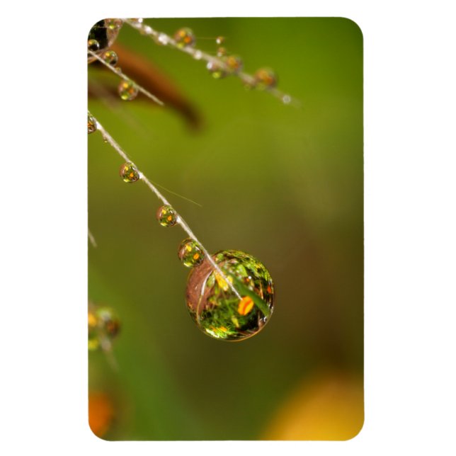 Íman Gota de Água Fechar (Vertical)