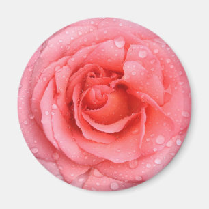 Íman Gotas de Água de Rosa Rosa Vermelha Romântica