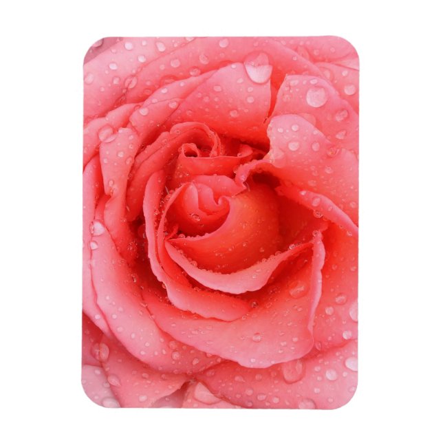 Íman Gotas de Água de Rosa Vermelha Romântica (Vertical)