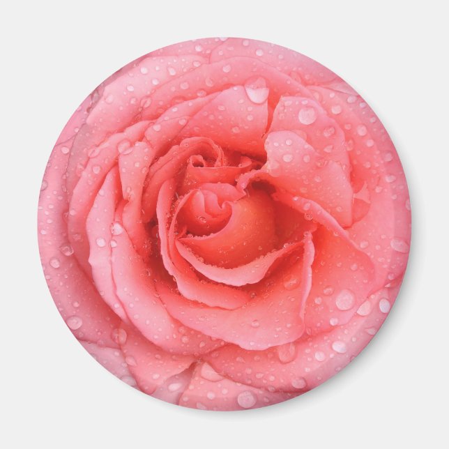 Íman Gotas de Água de Rosa Vermelha Romântica (Frente)