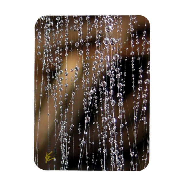 Íman Gotas de Orvalho Brilham na Meditação da Teia de A (Vertical)