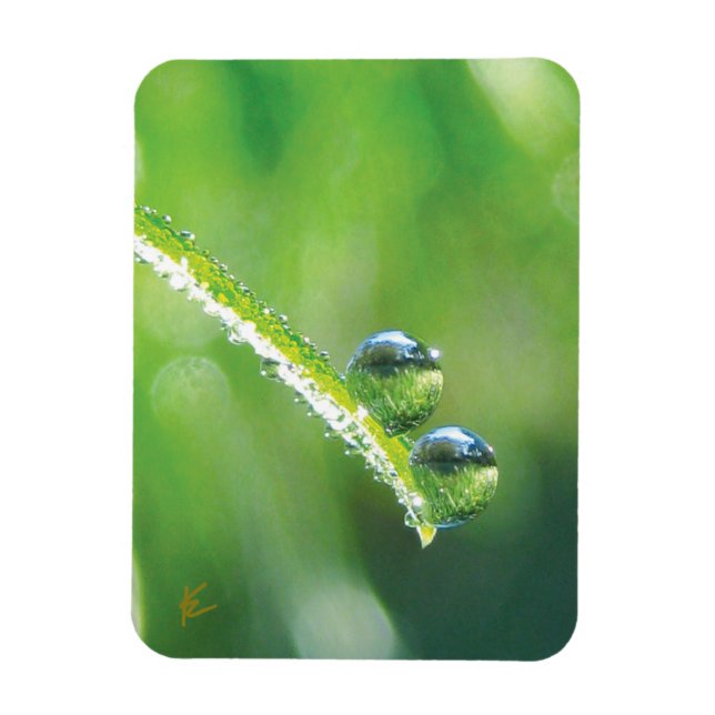 Íman Gotas de Orvalho na Grama Verde Natureza Pacífica (Vertical)