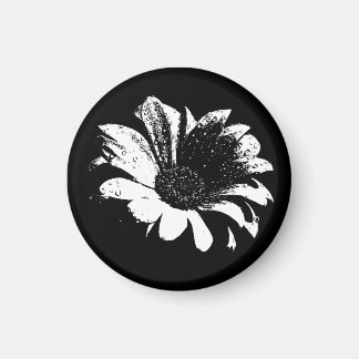 Íman Gotas em Daisy