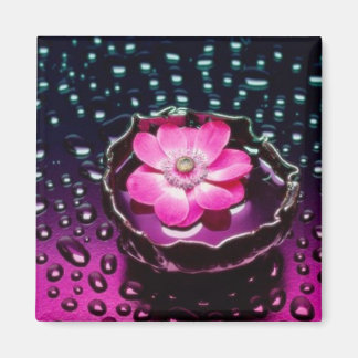 Íman Gotas Florais