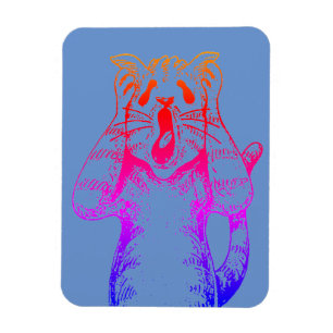 ÍMAN GÓTICO HORROR CAT DRAMA, ALGUÉM MOVEU CAIXA DE LIT