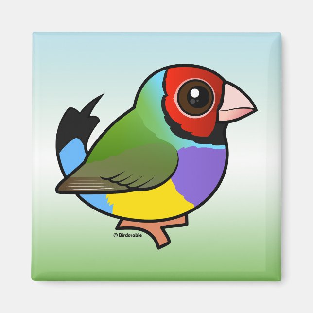 Íman Gouldian Finch (Frente)