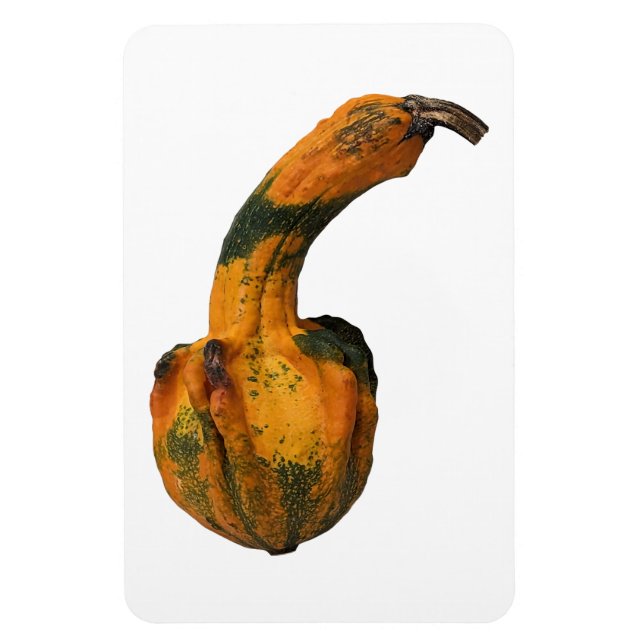 Íman Gourd Foto Magnet (Vertical)