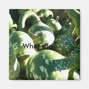 Íman Gourds/engraçados que… o ímã das citações