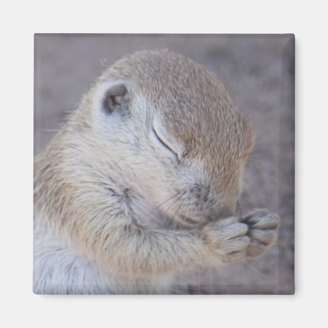 Íman Grace Magnet (Frente)