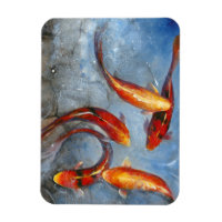 Graceful Koi I