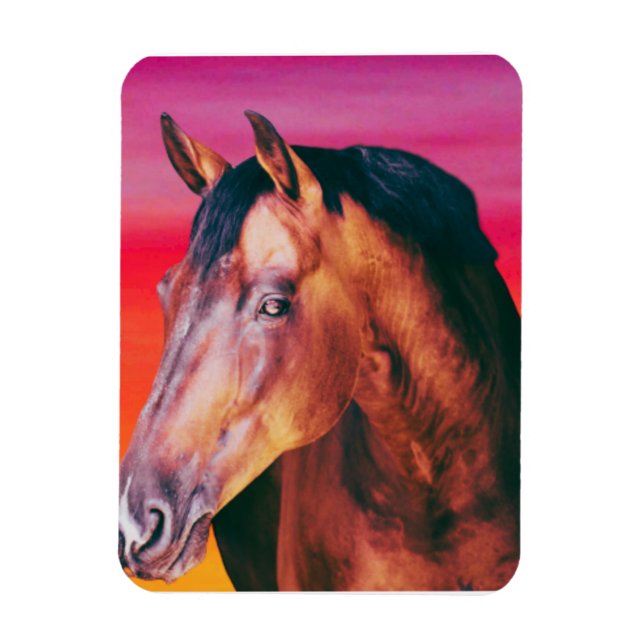 Íman Gradiente de Cavalo Baio    (Vertical)