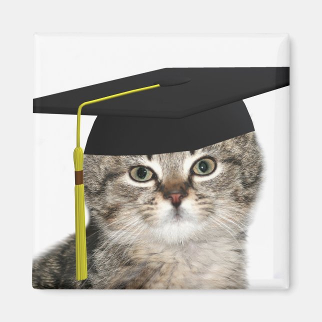 Íman Graduação em Kitten (Frente)