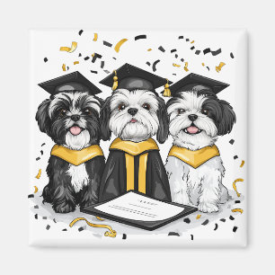 Íman Graduação Shih Tzu Dogs