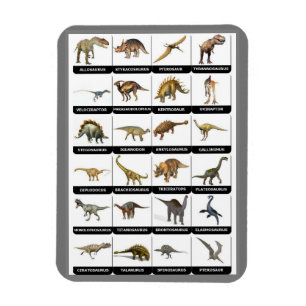 Íman Gráfico Dinossauros
