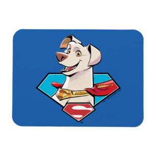 Íman Gráfico Krypto S-Shield