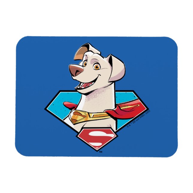Íman Gráfico Krypto S-Shield (Horizontal)