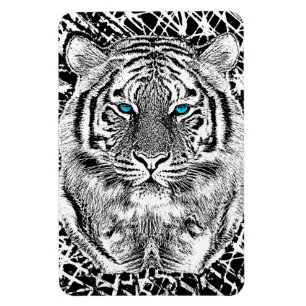 Íman Gráfico preto e branco do tigre dos olhos azuis