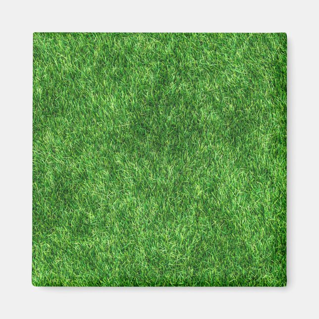 Íman Grama Verde (Frente)