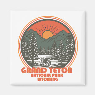 Íman Grand Teton montanhas Parque Nacional Wyoming