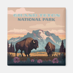 Íman Grand Teton National Park Jackson Wyoming Mountain