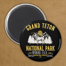 Grand Teton National Park Vintage Landscape