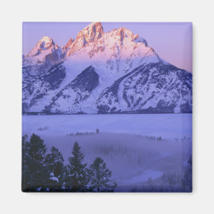 Íman GRAND TETON NATIONAL PARK, WYOMING. EUA. Nevoeiro 
