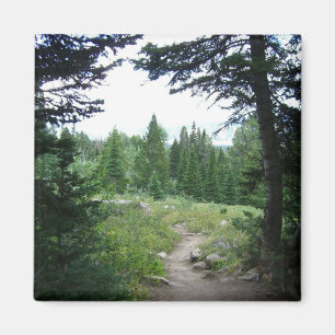 Íman Grand Teton Trail
