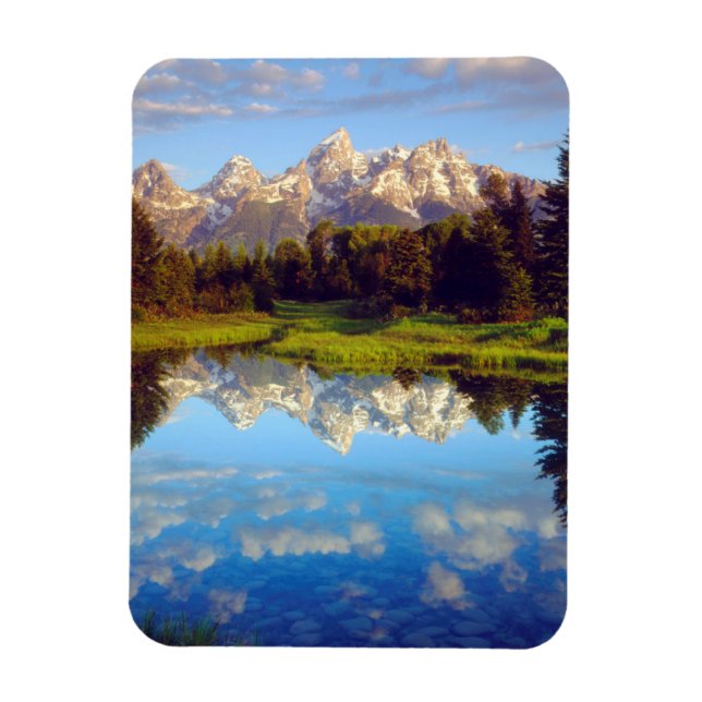 Íman Grand Tetons refletidos no rio Snake (Vertical)