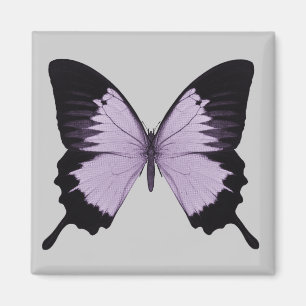 Íman Grande Borboleta Roxa e Preta