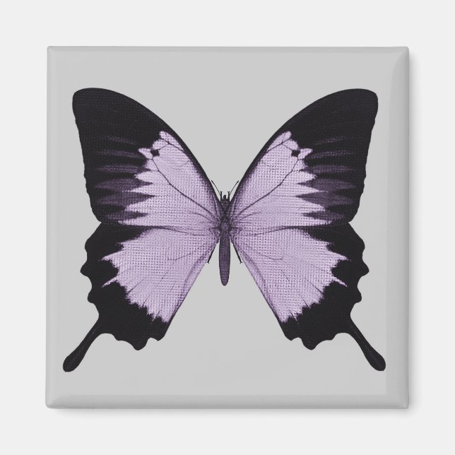 Íman Grande Borboleta Roxa e Preta (Frente)