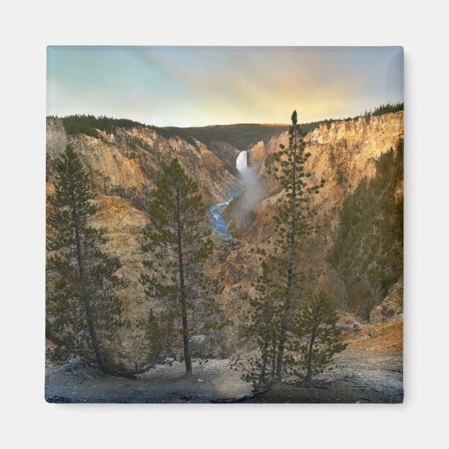 Íman Grande Canyon do Yellowstone, Yellowstone (Frente)