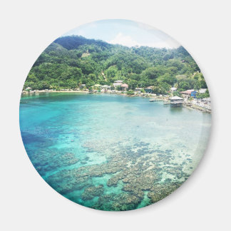 Íman Grande Cayman Coral Reef