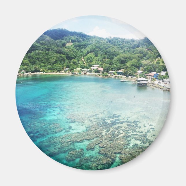 Íman Grande Cayman Coral Reef (Frente)