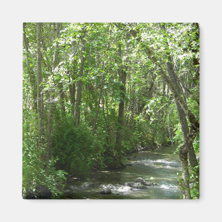 Íman Grande Creek no Verão.....