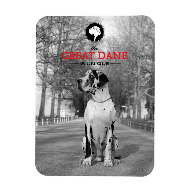 Íman Grande Dane Gráficos (Vertical)