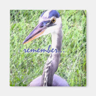Íman Grande lembrete azul