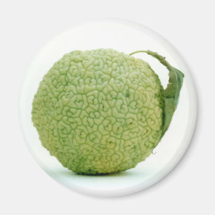 Íman Grande maçã verde