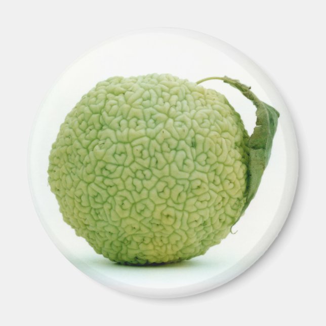 Íman Grande maçã verde (Frente)