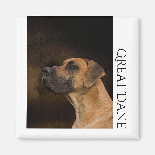 Íman Grande Magnet Dane (Frente)