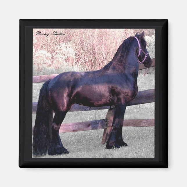Íman Grande Magneta de Cavalo Frísia (Frente)