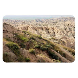 Íman Grande Ovelha de Corno no Parque Nacional de Badla