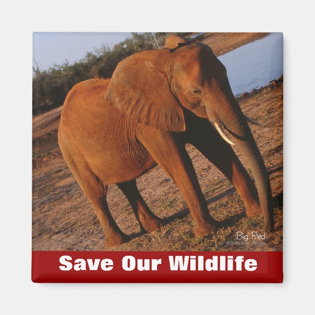 Íman Grande Red Salva Nossa Vida Selvagem (Frente)