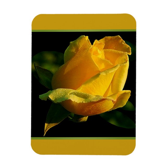 Íman Grande Rosa Amarela  (Vertical)