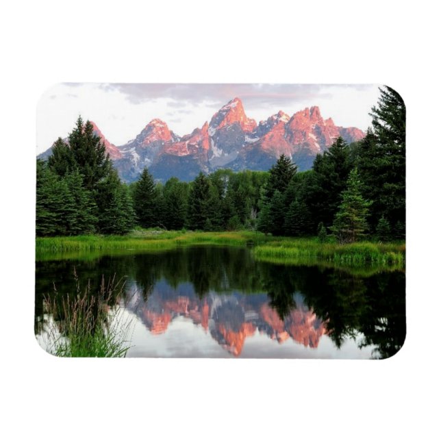 Íman Grande Teton Reflexões Sobre O Pond Do Beaver (Horizontal)