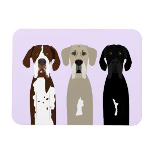 Íman Grandes cães de rua